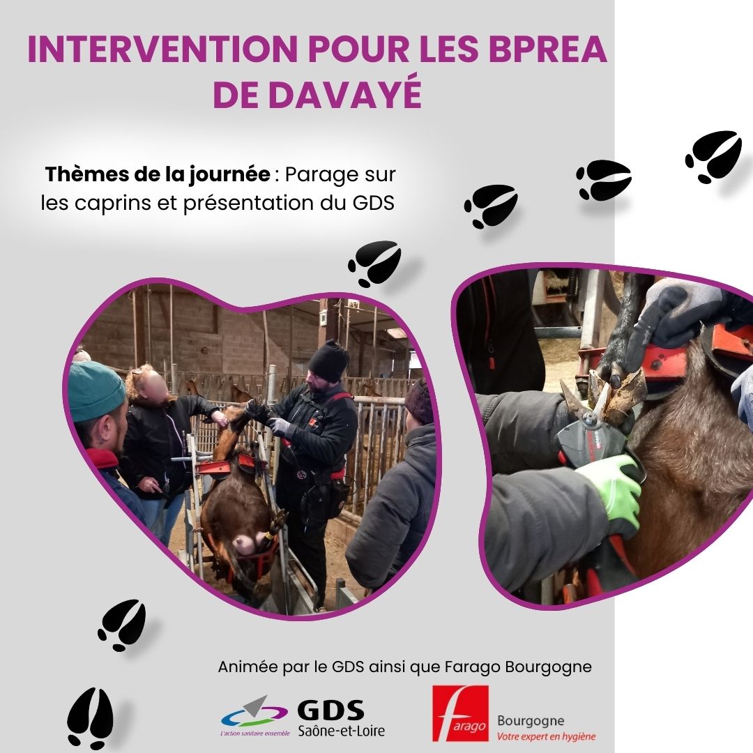 Illustration de l'actualité